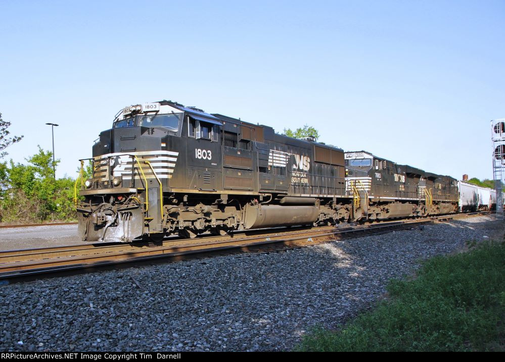 NS 1803 leads 310
